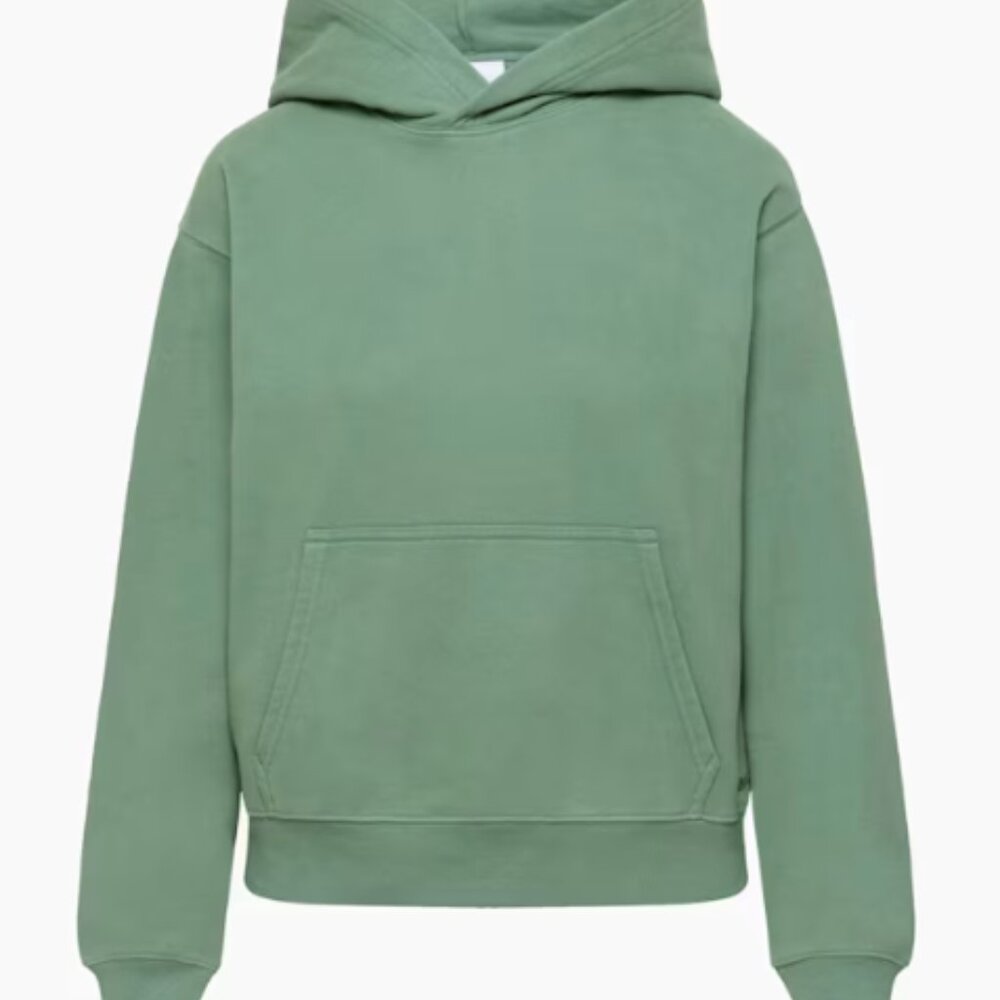 Aritzia TNA Cozy Sweatfleece Perfect Hoodie